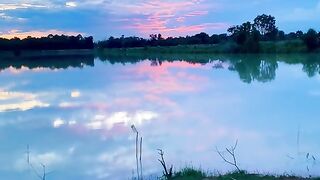 Exotic Nature