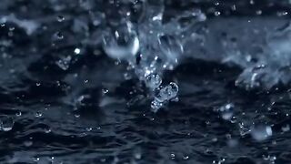 Wather of Life