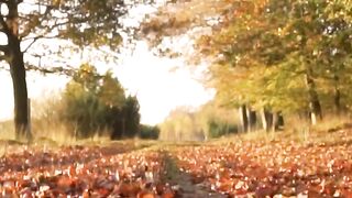 Natural Area as Sun Shines
