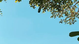 Nice View Tree