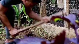 Routine Activities in the Village