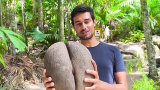 This is World's Biggest Nut! (Only found on Rare African Island)
