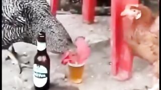 Just for fun