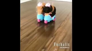 "Adorable Baby Animals Compilation: Funny and Cute Moments of the Little Ones part2