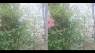 VR SBS Walker Music (Mixdut5)