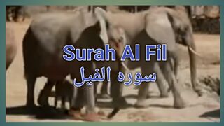 Surah Al Fil .  سورہ الفیل