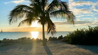 "Sun-kissed Shores: Explore the Beauty of Beach"