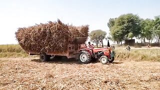 alghazi_tractor_power_stunts___mf_385_tractor_live_fails___sugarcane_trolley_vs_higher_voltage