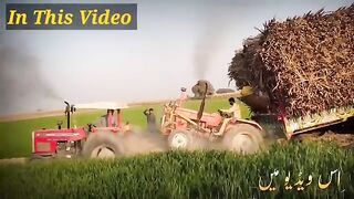 fiat_480_tractor_badly_stuck___mf_385_tractor_power_fails___alghazi_tractor_power