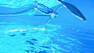 Avater way of water