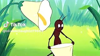 Animation