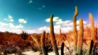 Beautiful desert landscape timelapse - AdalineTV