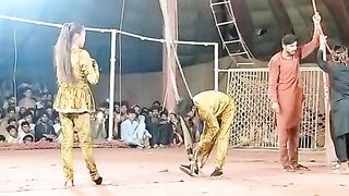 Circus