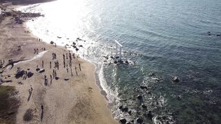 "Island Reverie: Coastal Paradise Unveiled"