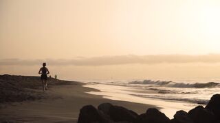 "Island Oasis: Coastal Paradise Exploration"