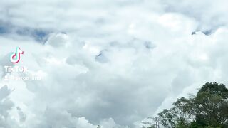Nice landscape
