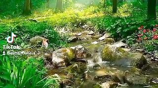 Beauty of the world