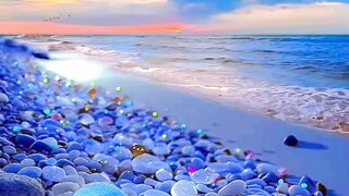 Adorable Sea Beach