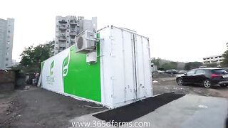 Saffron Farming in Shipping Containers