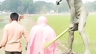 #funny video#makes you laugh out loud