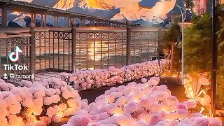 Lovely shore