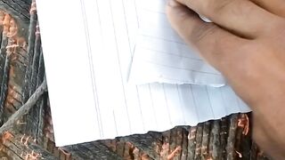 Paper's airplane