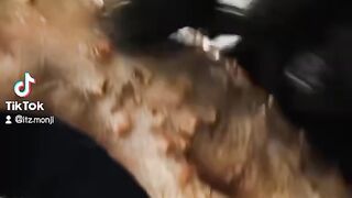 Biggest chicken in the world prepared