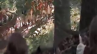فيلم تاريخي أمريكي