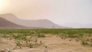 أللهم صلي على سيدنا محمد وعلى آله وصحبه وسلم تسليماً