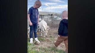 Best Funny video compilation _fail and pranks. Try not to laugh