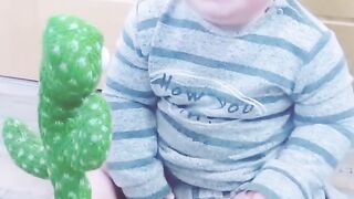 Funny and animals video