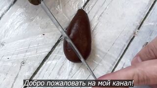 Медовое печенье ШИШКИ! Проще простого из минимум ингредиентов
