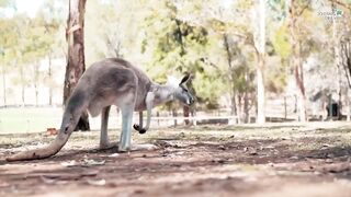 Australia Amazing Places