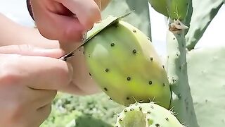Food cutting skill