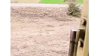Entertainment