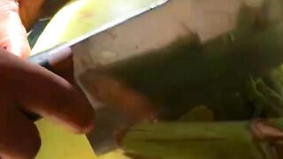 Food cutting skill