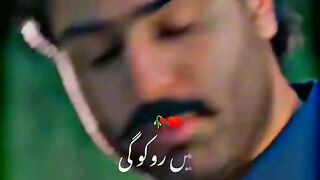Zid Nhi Besharmi Hai