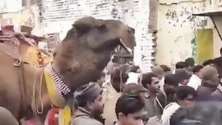 Urs Mubarak || Baba Fazal shah Kalyami || Gujjar Khan || 2023 || Pakistan