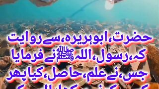 فرمان،نبی،پاکﷺ