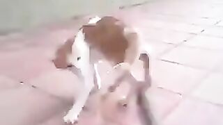 Best funny