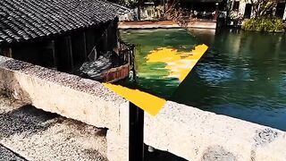 Ufff Ohhh My god| Unbelievable Action|  Respect it.
