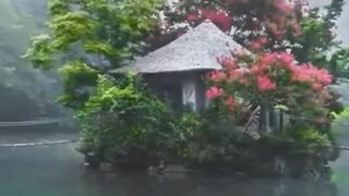 Beautiful view of nature