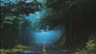 Beautiful view of nature
