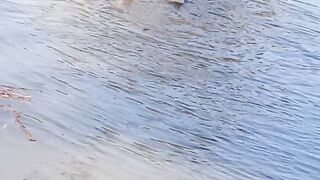 You will love nature's beauty how are the ducks ???? enjoying their lives but humans are ungrateful to God having everything