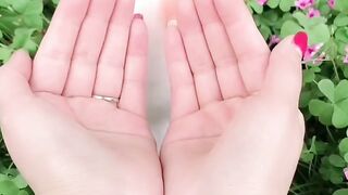 beautiful pets