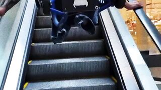 Amazing Action Oh god| Respect Please and Follow my page