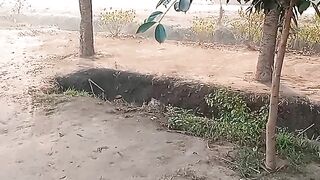 Dera farm