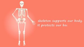 Skeletal System