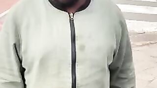 All Animal sounds