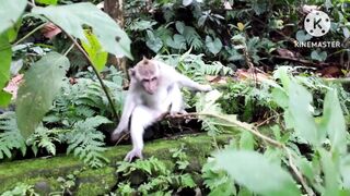 Beautiful animals ????